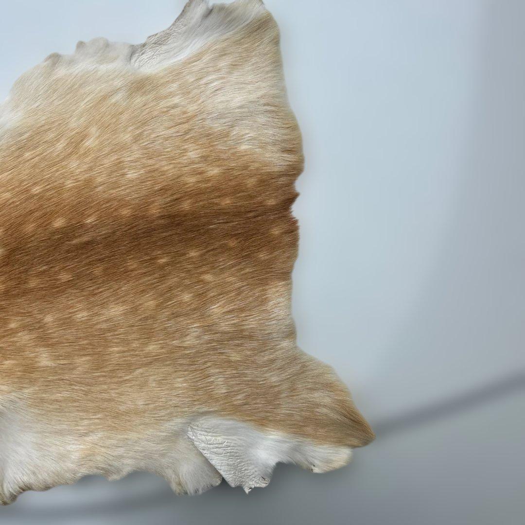 鹿の皮ベージュと白のグラデーション