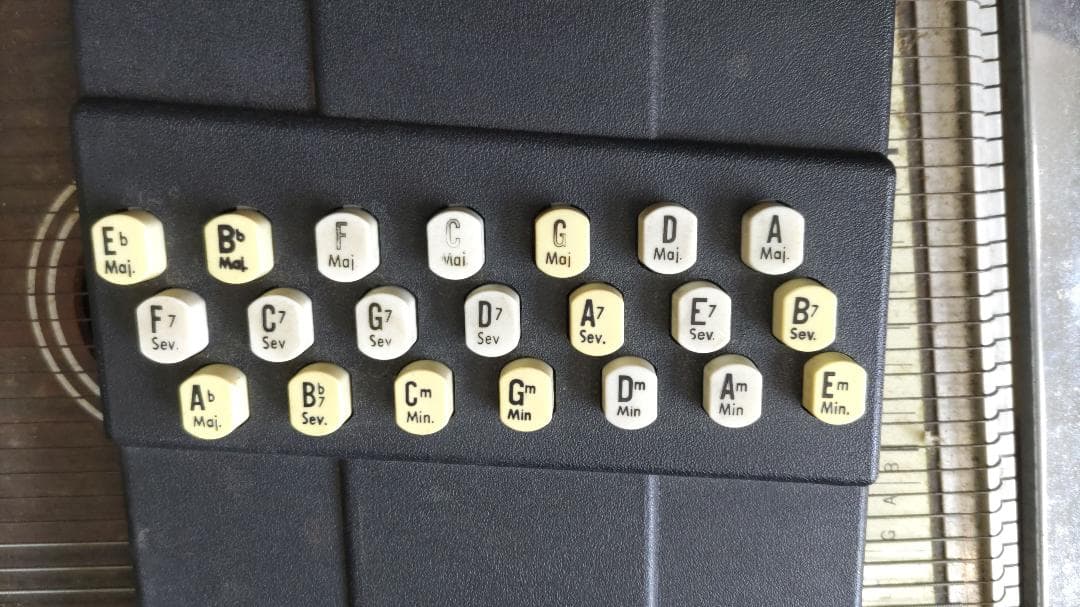 Oscar Schmidt 21コードのクラシックオートハープ