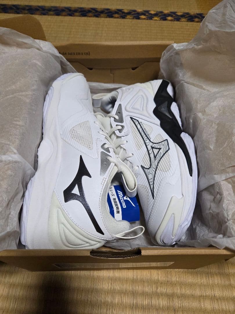 ミズノ　バレーボールシューズ　モーメンタム3