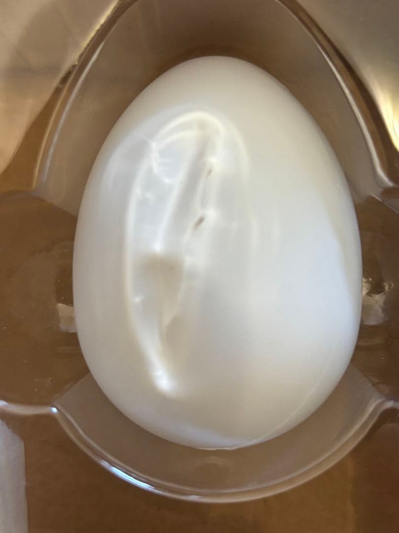 エレンコ(Snap Circuits Jr. 電脳サーキット イルミナ