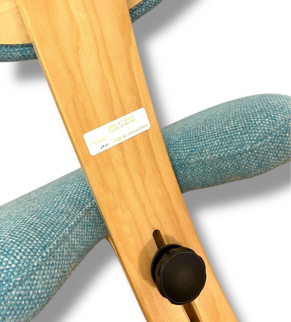 美品 送料無料 rybo リボ バランスラボ バランスチェア イージー