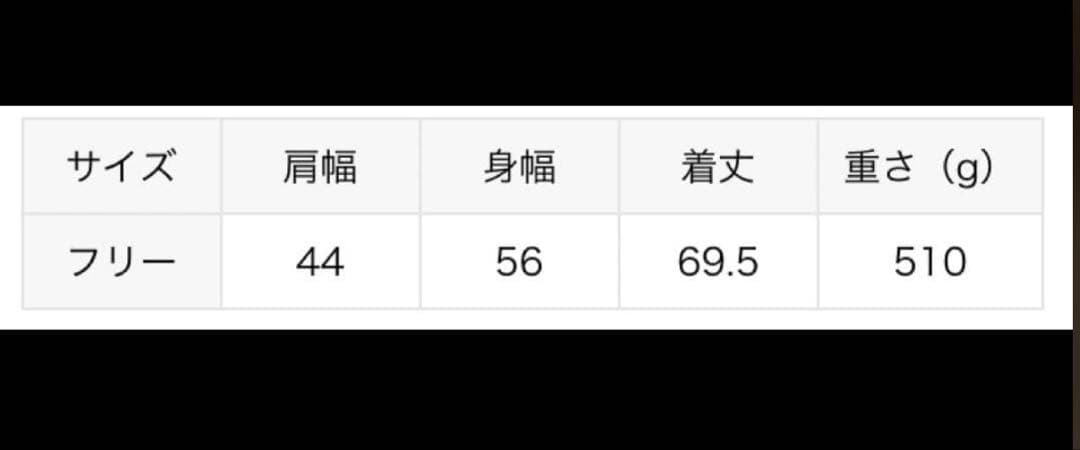 Plage loose liner ベスト 新品タグ付き　ダウンベスト