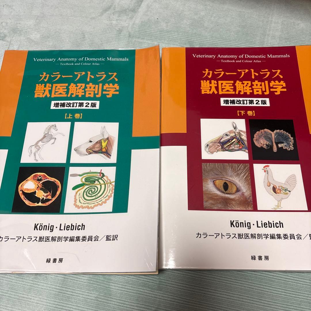 カラーアトラス獣医解剖学 上巻、下巻