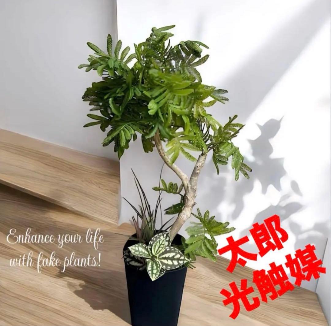 光触媒　人工観葉植物　ウォールグリーン　フェイクグリーン　エバーフレッシュ955