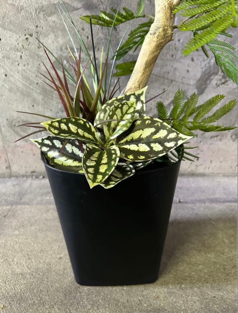 光触媒　人工観葉植物　ウォールグリーン　フェイクグリーン　エバーフレッシュ955