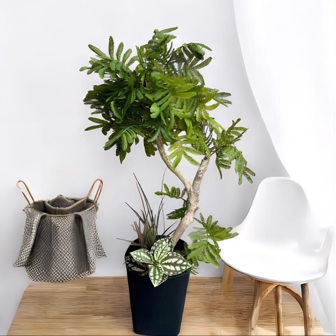 光触媒　人工観葉植物　ウォールグリーン　フェイクグリーン　エバーフレッシュ955