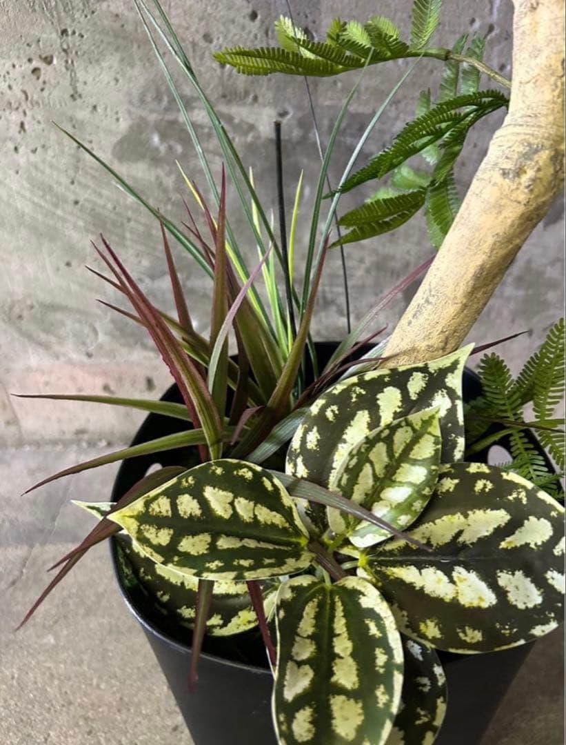 光触媒　人工観葉植物　ウォールグリーン　フェイクグリーン　エバーフレッシュ955