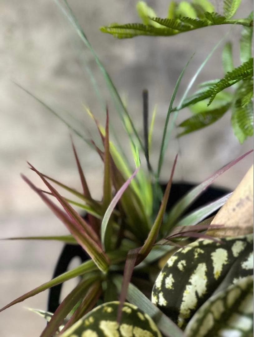 光触媒　人工観葉植物　ウォールグリーン　フェイクグリーン　エバーフレッシュ955