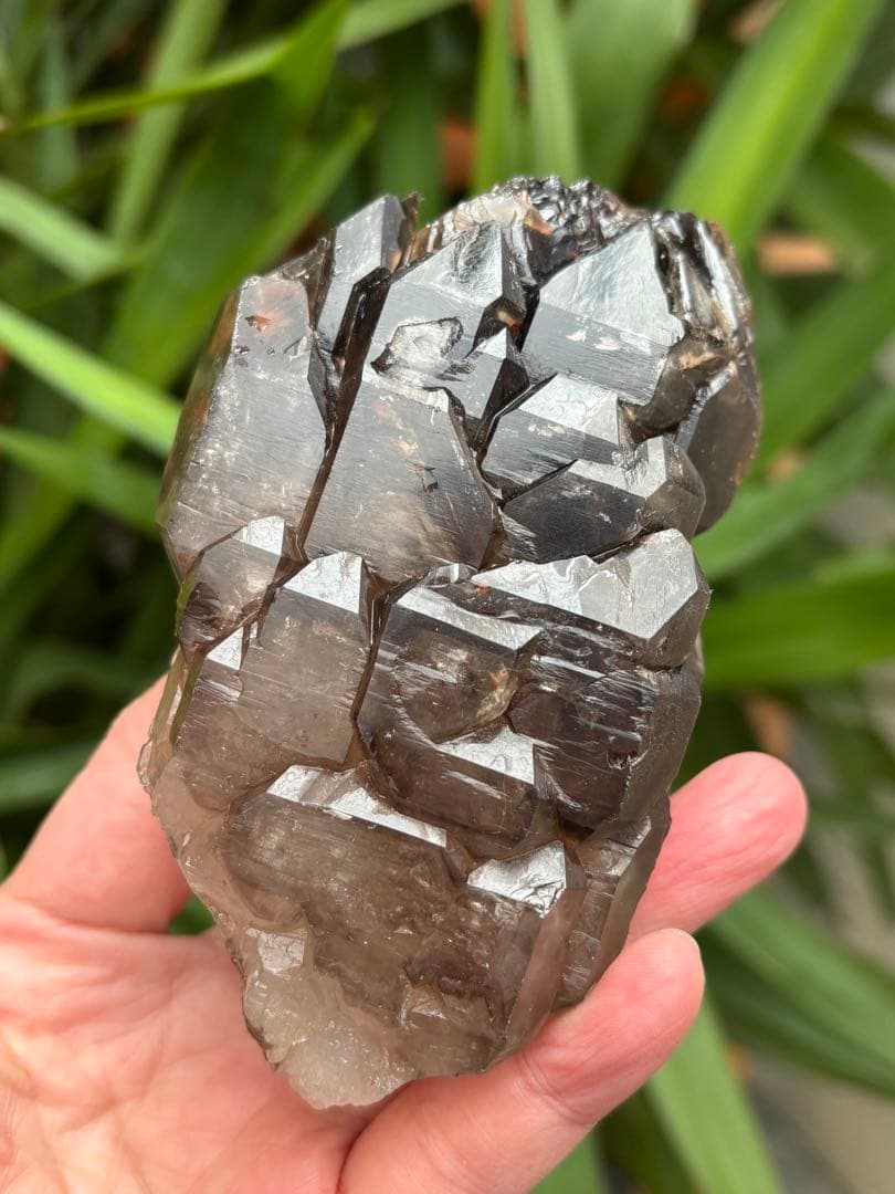 ブラジル産　ジャカレー水晶　ワニ水晶　エレスチャル　400g 複数水入り