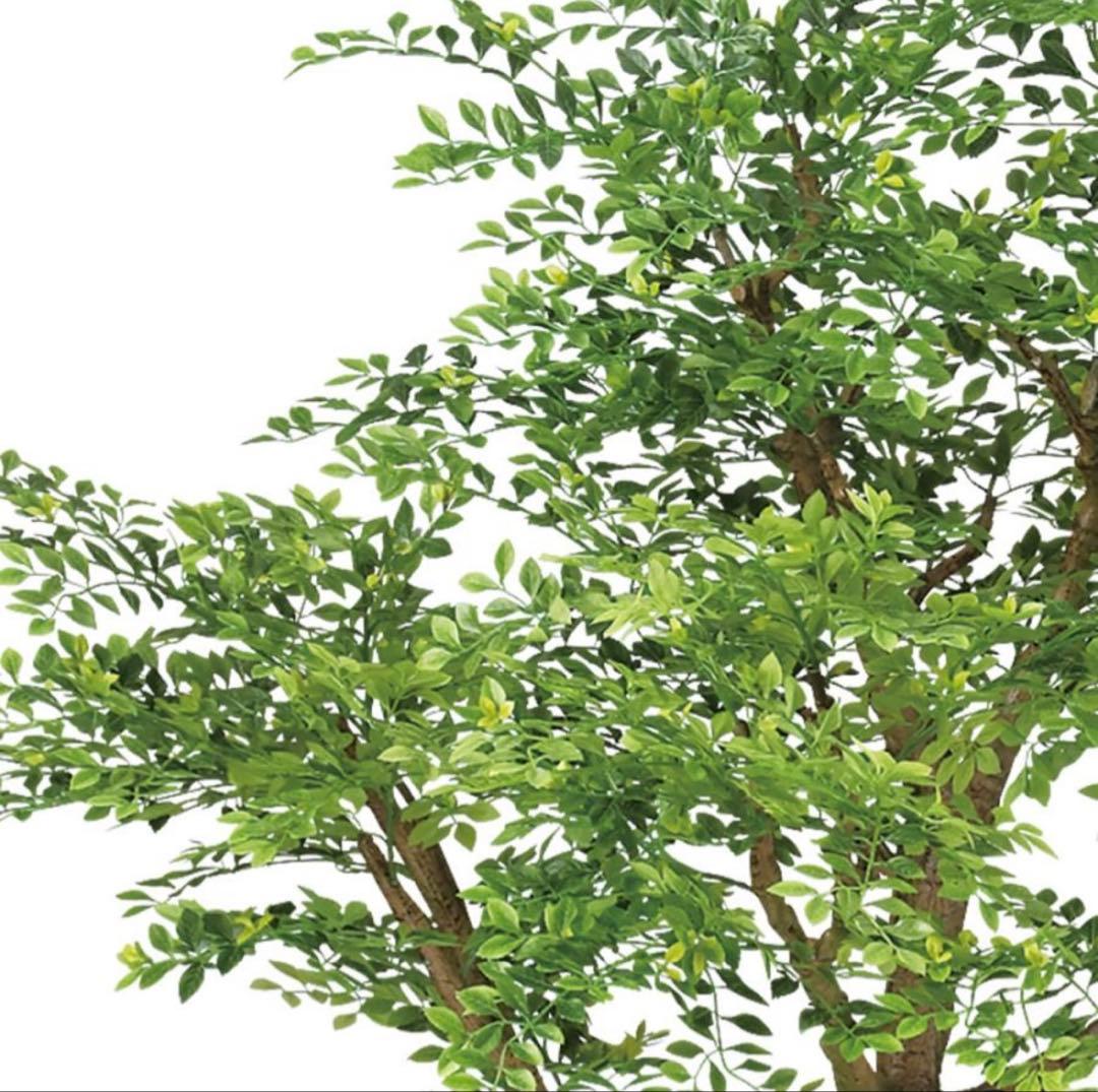 光触媒　人工観葉植物　ウォールグリーン　フェイクグリーン　ゴールデンリーフ鉢付き