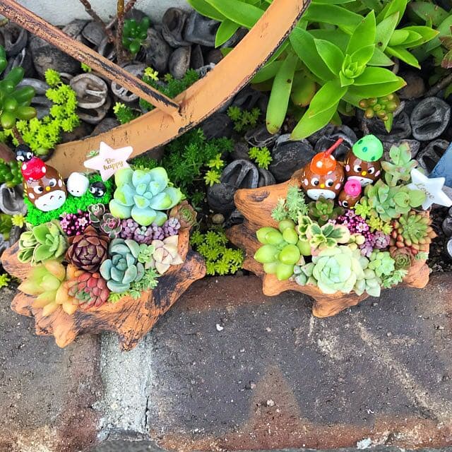★多肉植物　寄せ植え〜どんぐりちゃんの切り株寄せ　セットで〜★