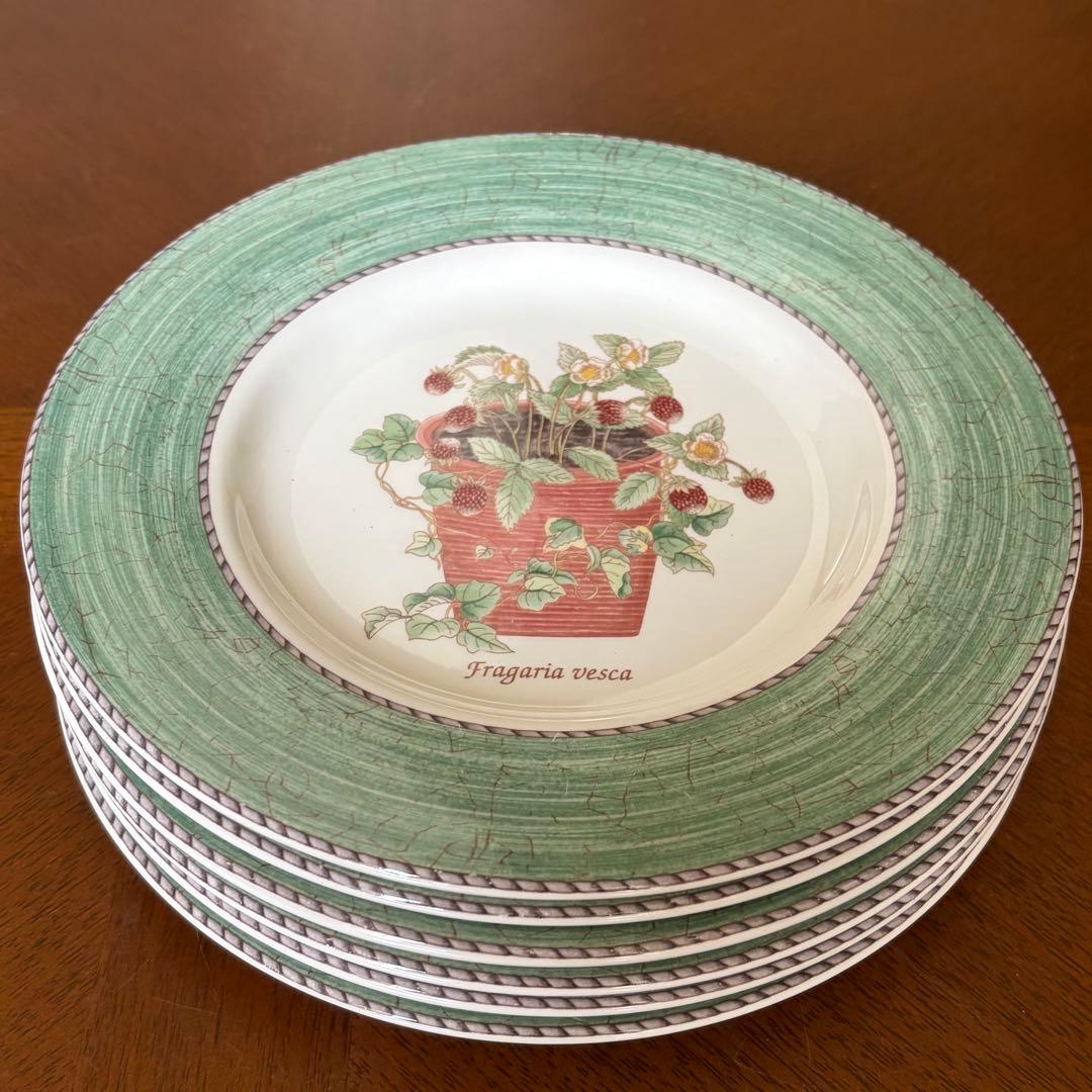 【美品】英国製　ウェッジウッド★サラズガーデン★グリーンデザート皿　6枚