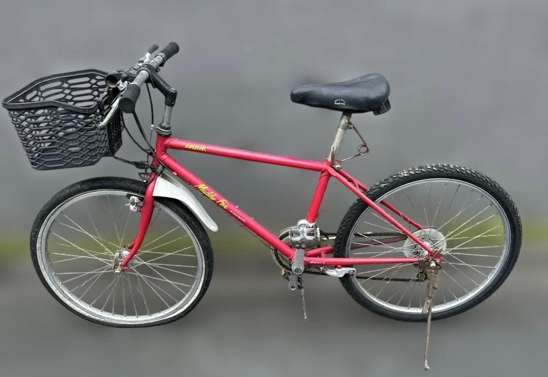 SALE) ARAYA アラヤ　Old MUDDY FOX MD24/ELX-G