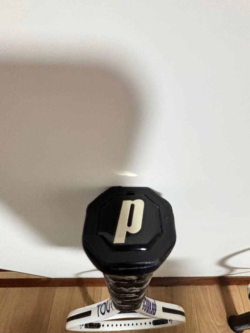 プリンス　ツアー100