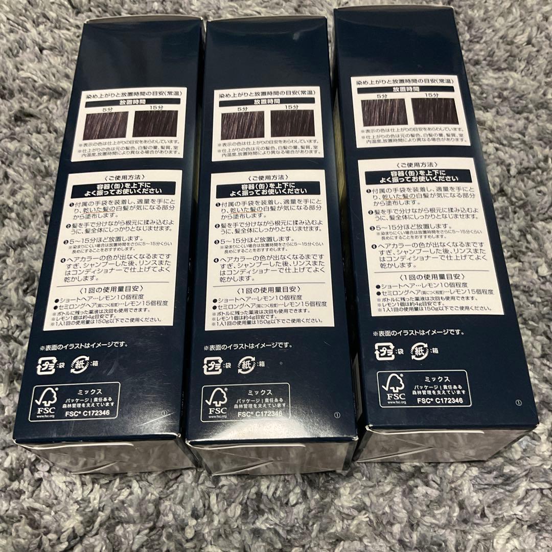 ヘアボーテ エクラ ボタニカルエアカラーフォーム EX 150g3本セット