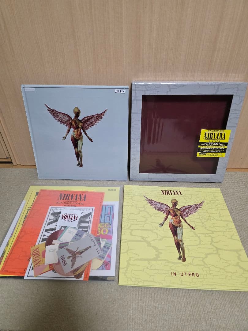 【5枚組】ニルヴァーナ/イン・ユーテロ30thスーパーデラックスエディション