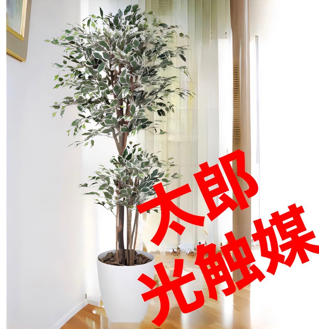 光触媒　人工観葉植物　フェイクグリーン　トロピカルベンジャミン斑入リ 1.8m