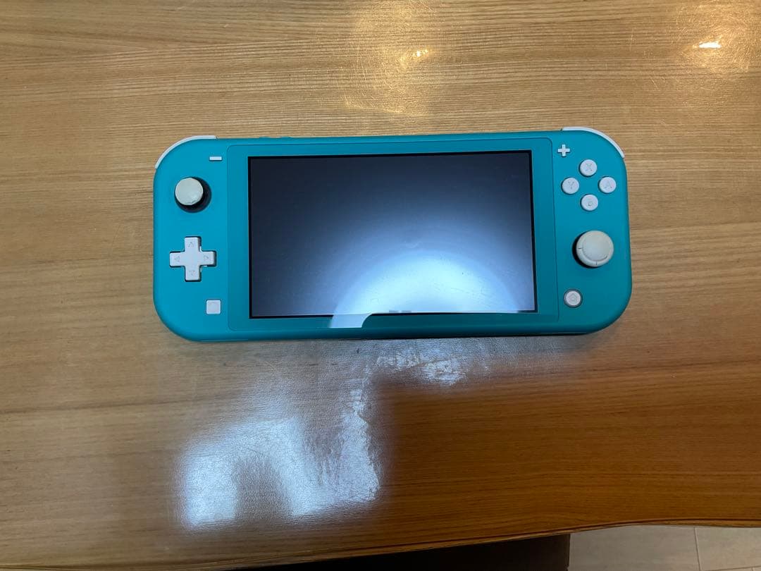 Switch　Lite　ターコイズ　充電器&ケース付き