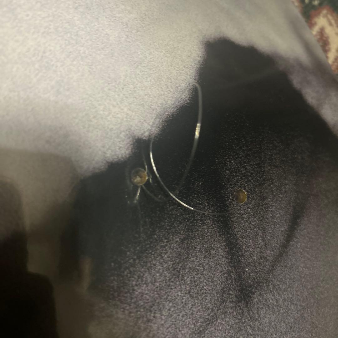 スケートボード Girl Skateboards Bjork Spike Jonez