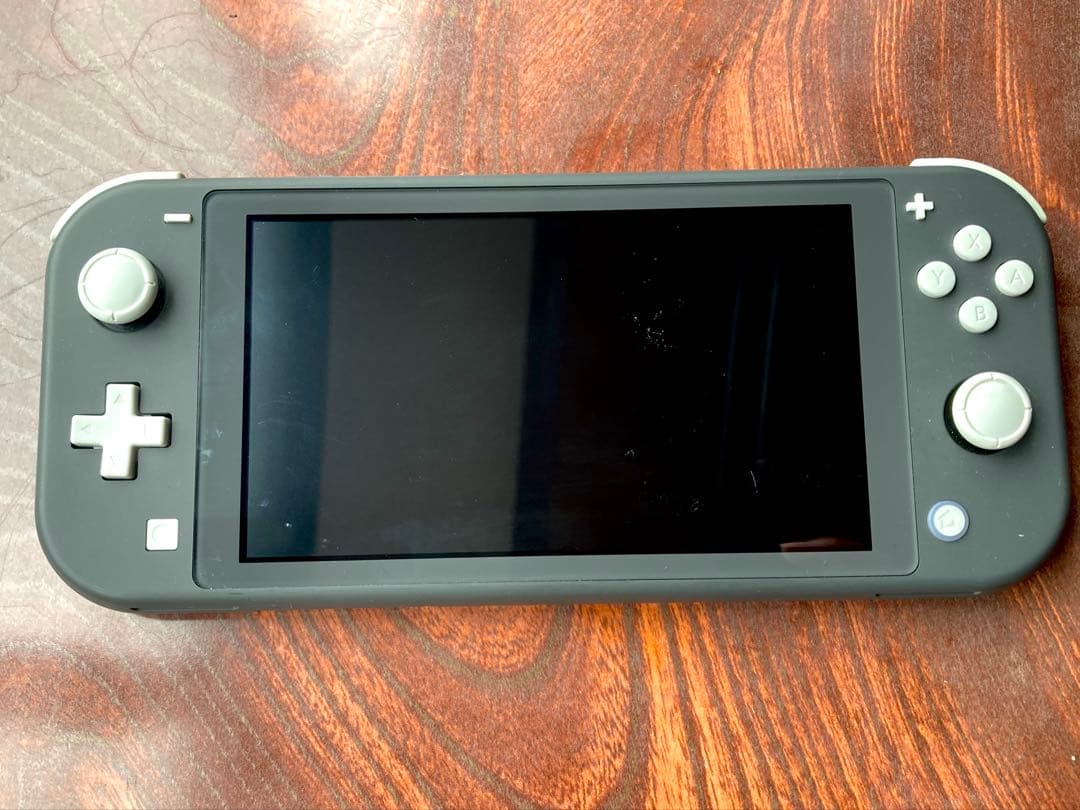 Switch Lite 任天堂 (ケース付)