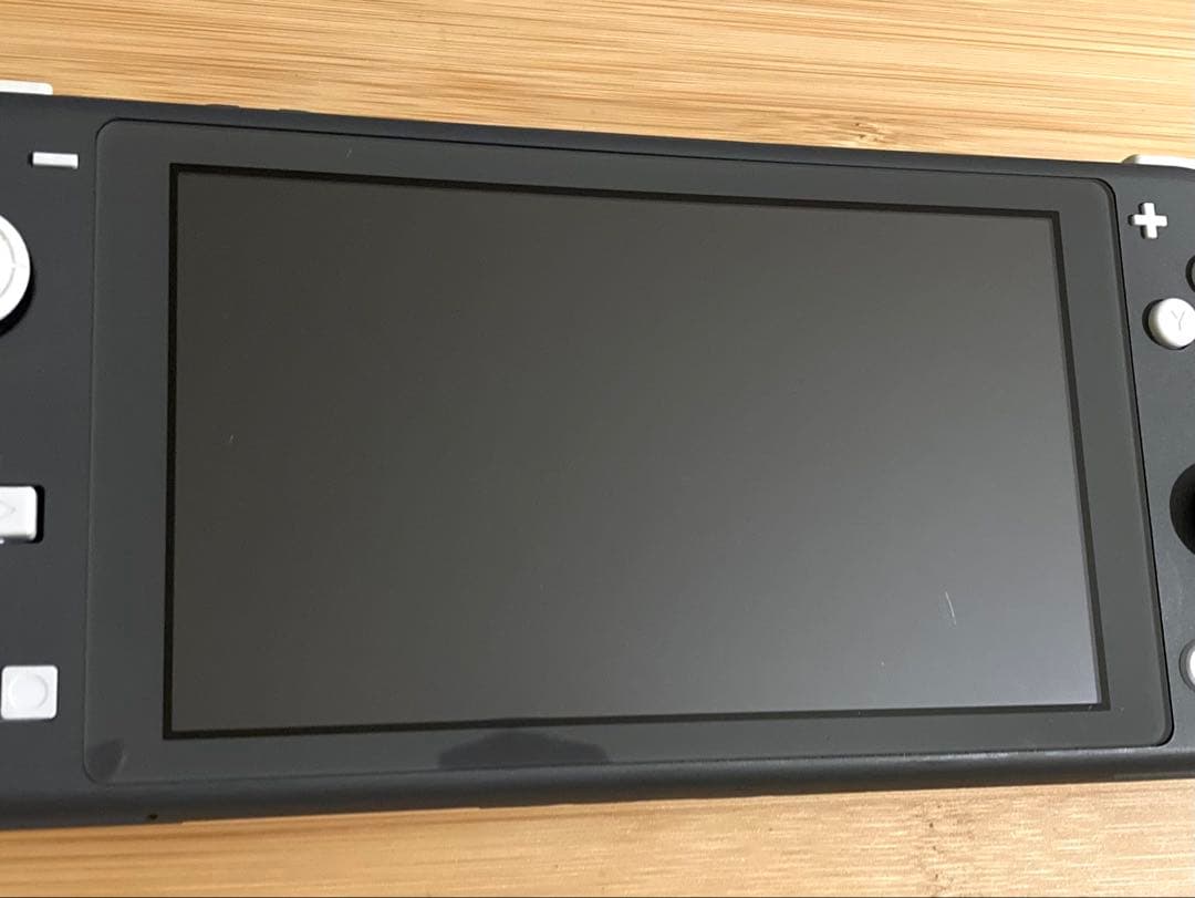 Switch Lite 任天堂 (ケース付)