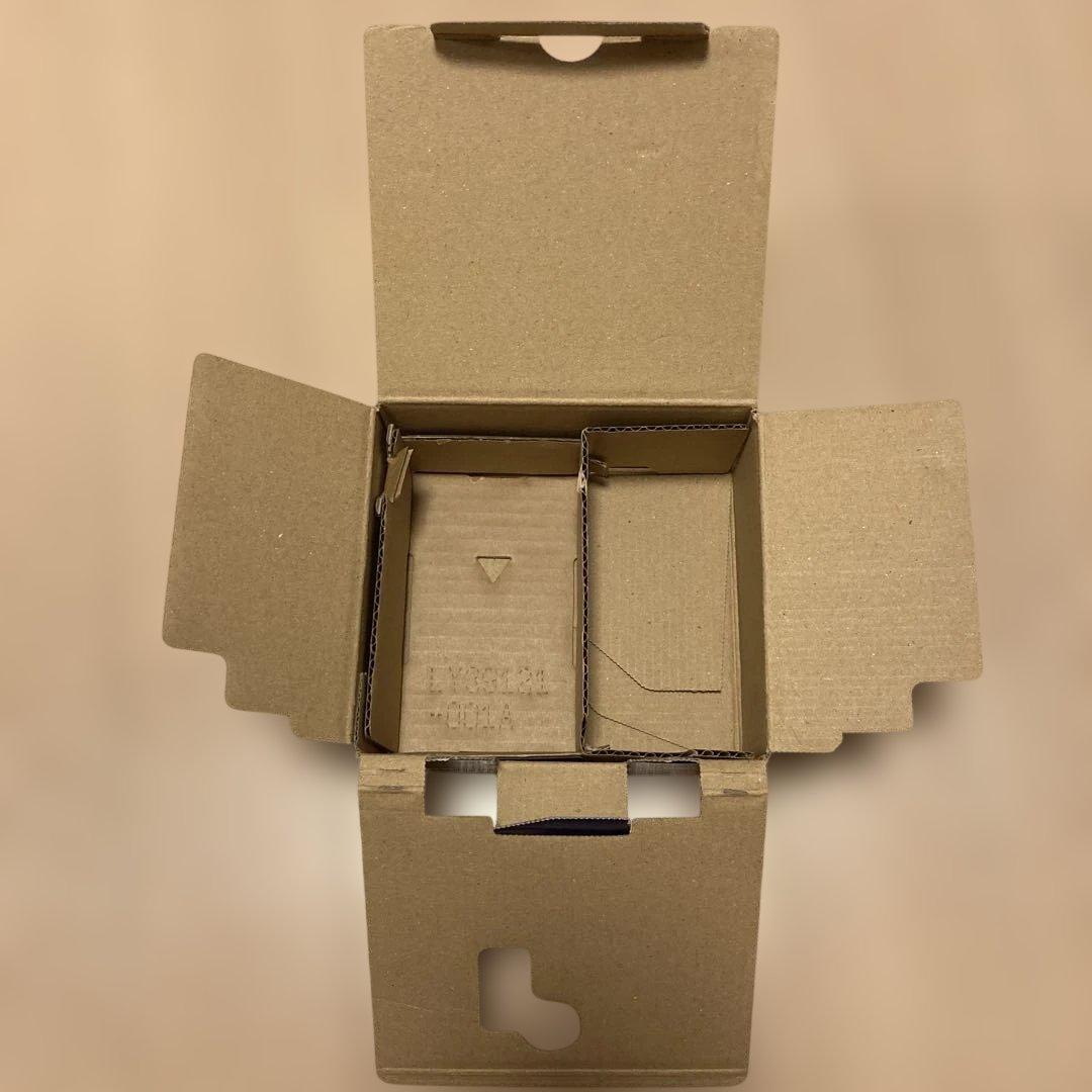 JVCケンウッド Everio GZ-R300