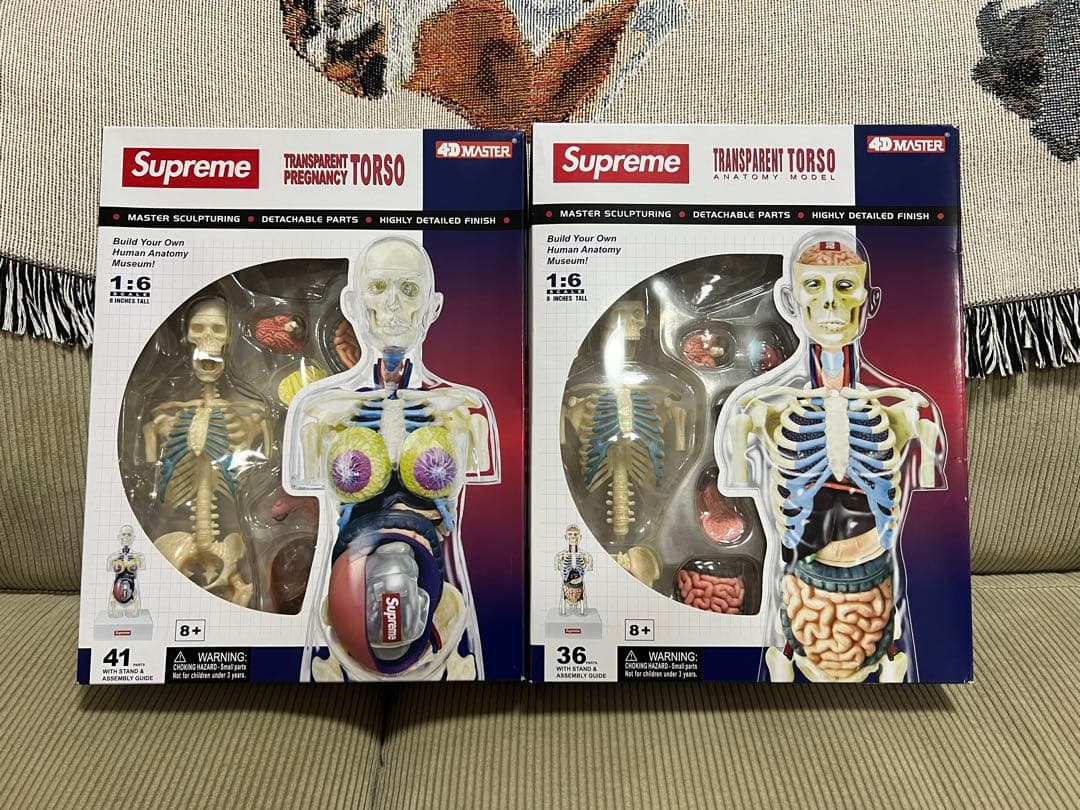 Supreme Anatomy Model 18AW 人体模型