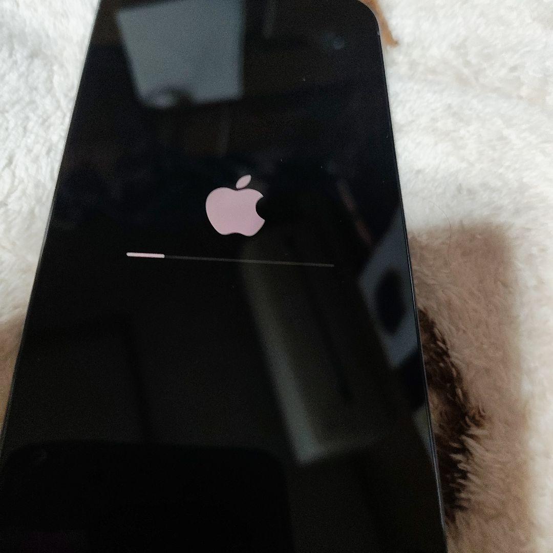 スマートフォン本体 iPhone13 Pro Max 256GB