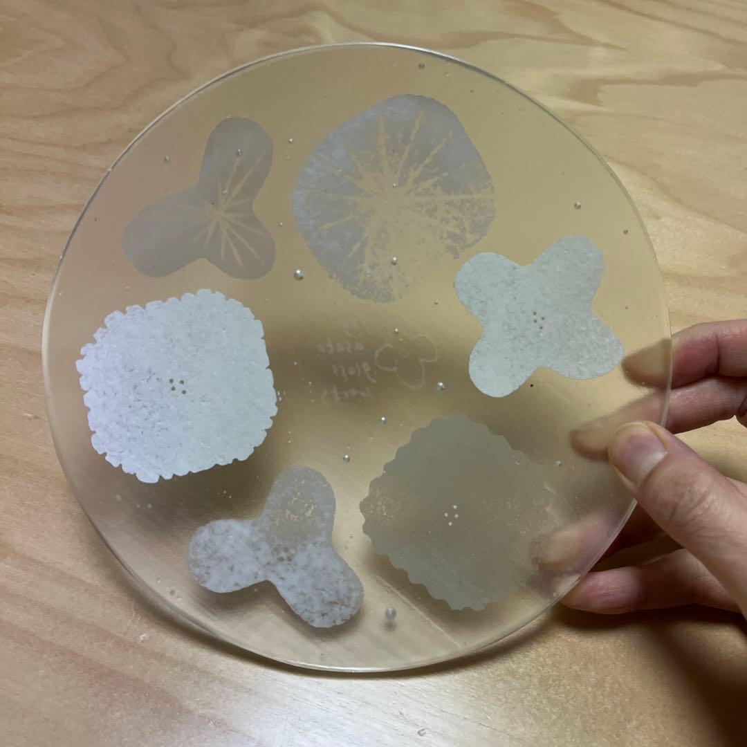 八木麻子さん　ガラスのプレート