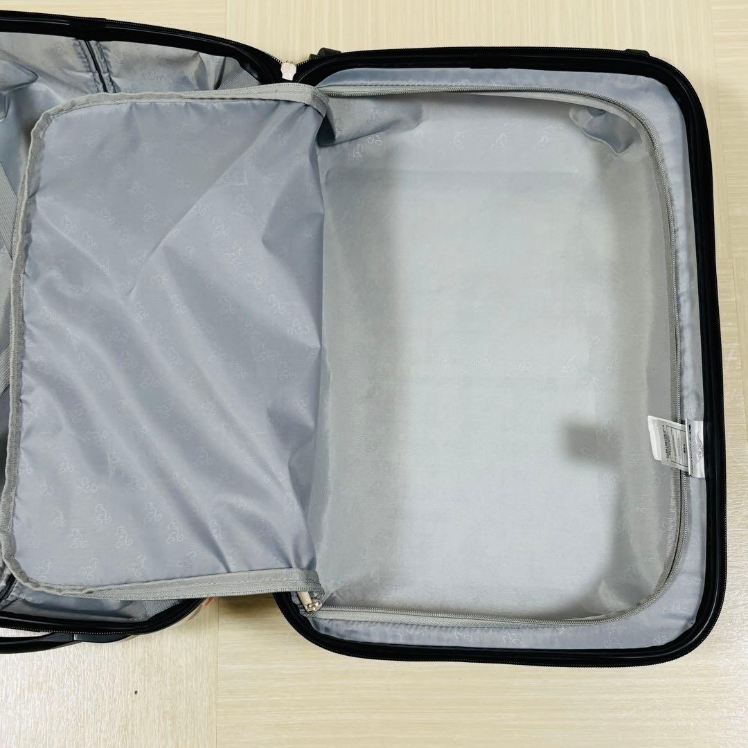 ディズニークルーズ限定　キャリーバッグ