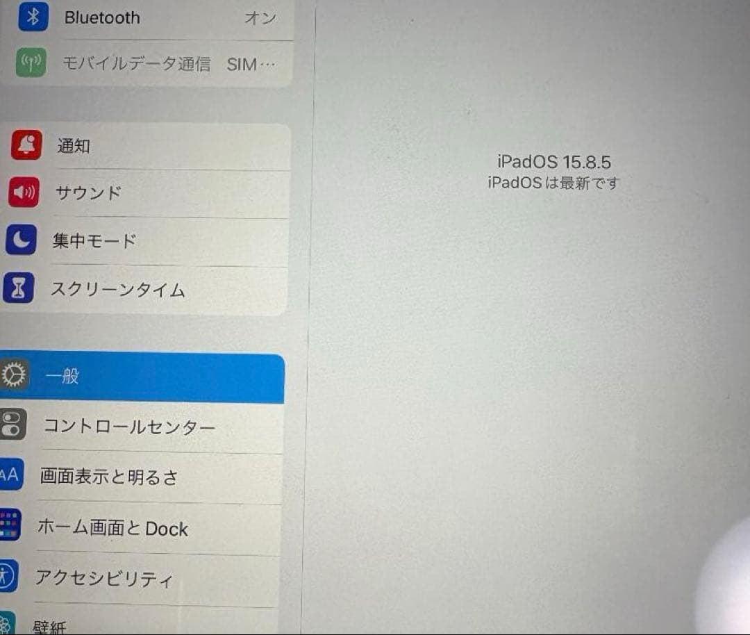 【SIMロック解除済】iPad mini4 Cellular 32GB