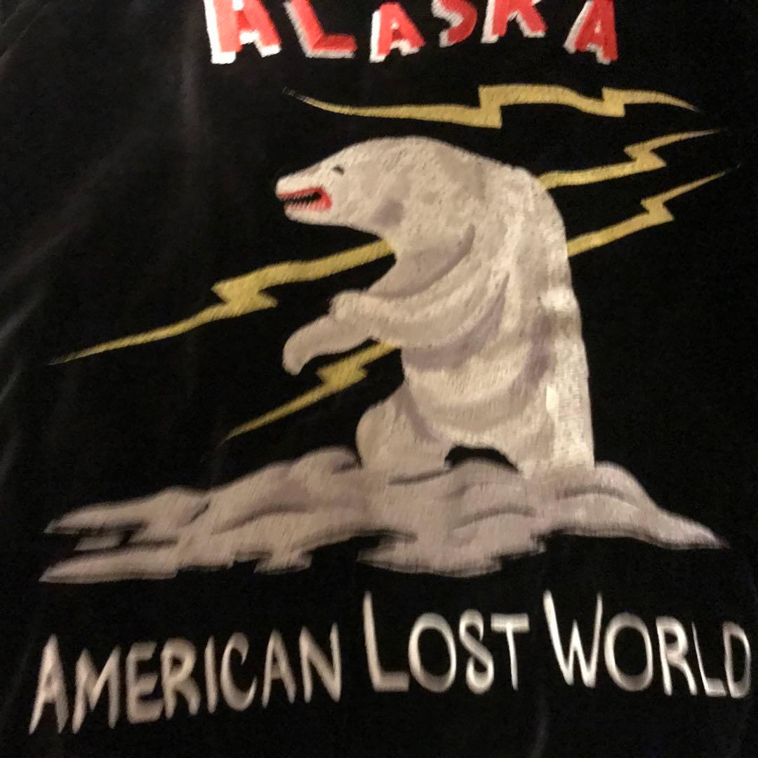 ALASKA AMERICAN LOST WORLD スカジャン