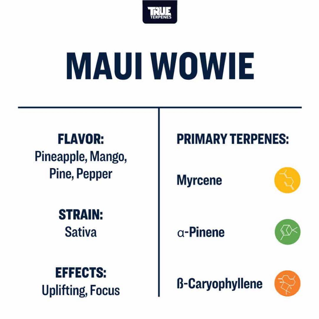 【10ml】Maui Wowie／TrueTerpenesテルペン　香料　CBD