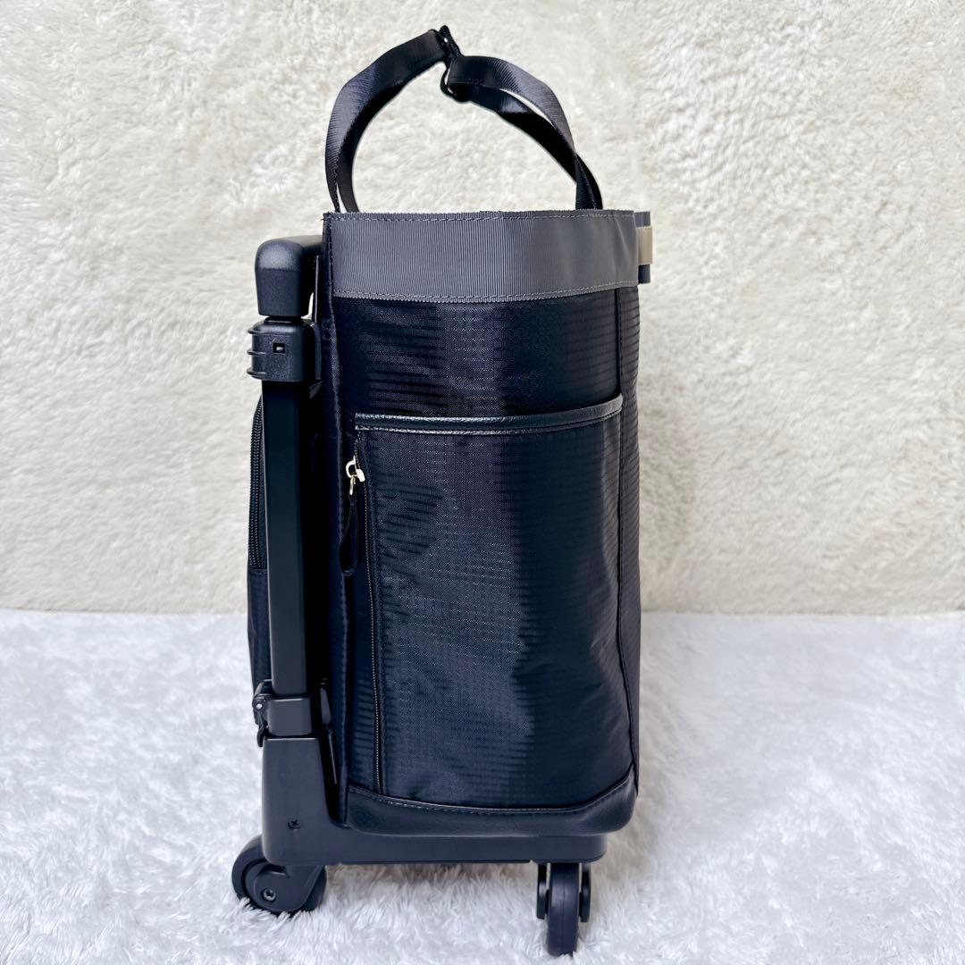 美品✨ SWANY スワニー ウォーキングカート 24年製 キャリーバック