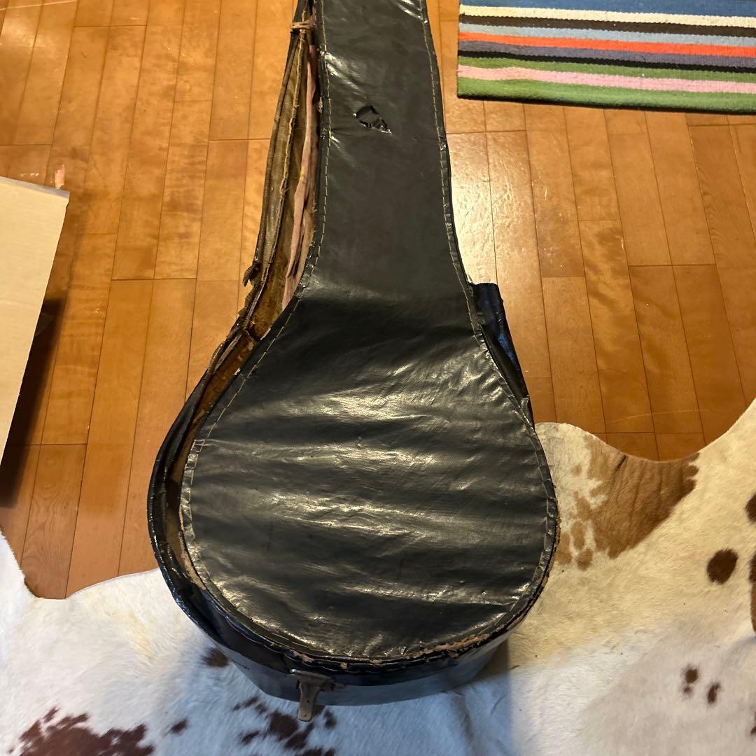 シタール　最終値下げ