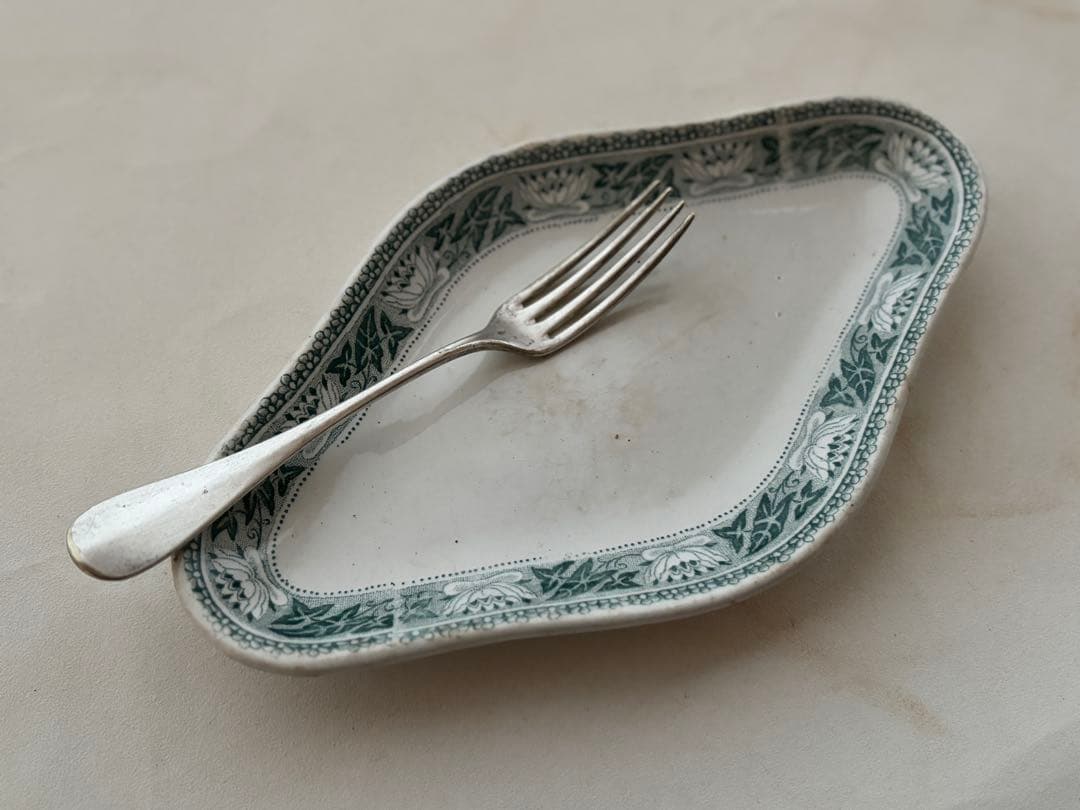 テールドフェール　グリーンのラヴィエ　terre de fer