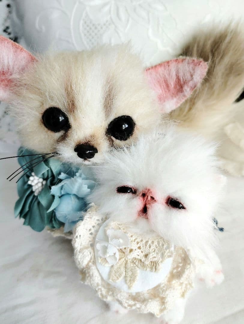 メルモちゃん❤オーダー❤ベビーフェネックちゃん♡お持たせ子猫ちゃん♡