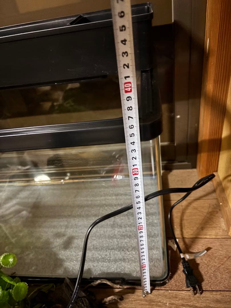 水槽セット フィルターマット 産卵ボックス　まとめ売り