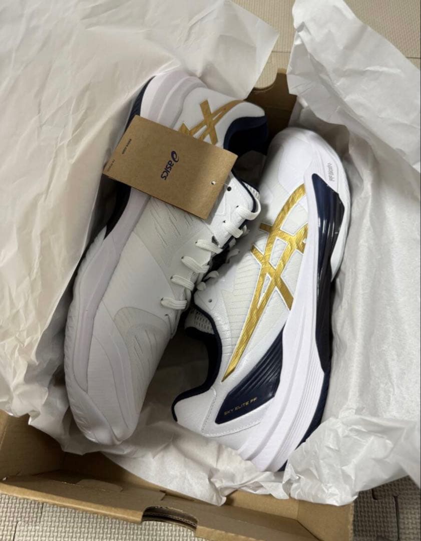 【限定カラー】ASICS/アシックス　 スカイエリート FF 3 28.5cm