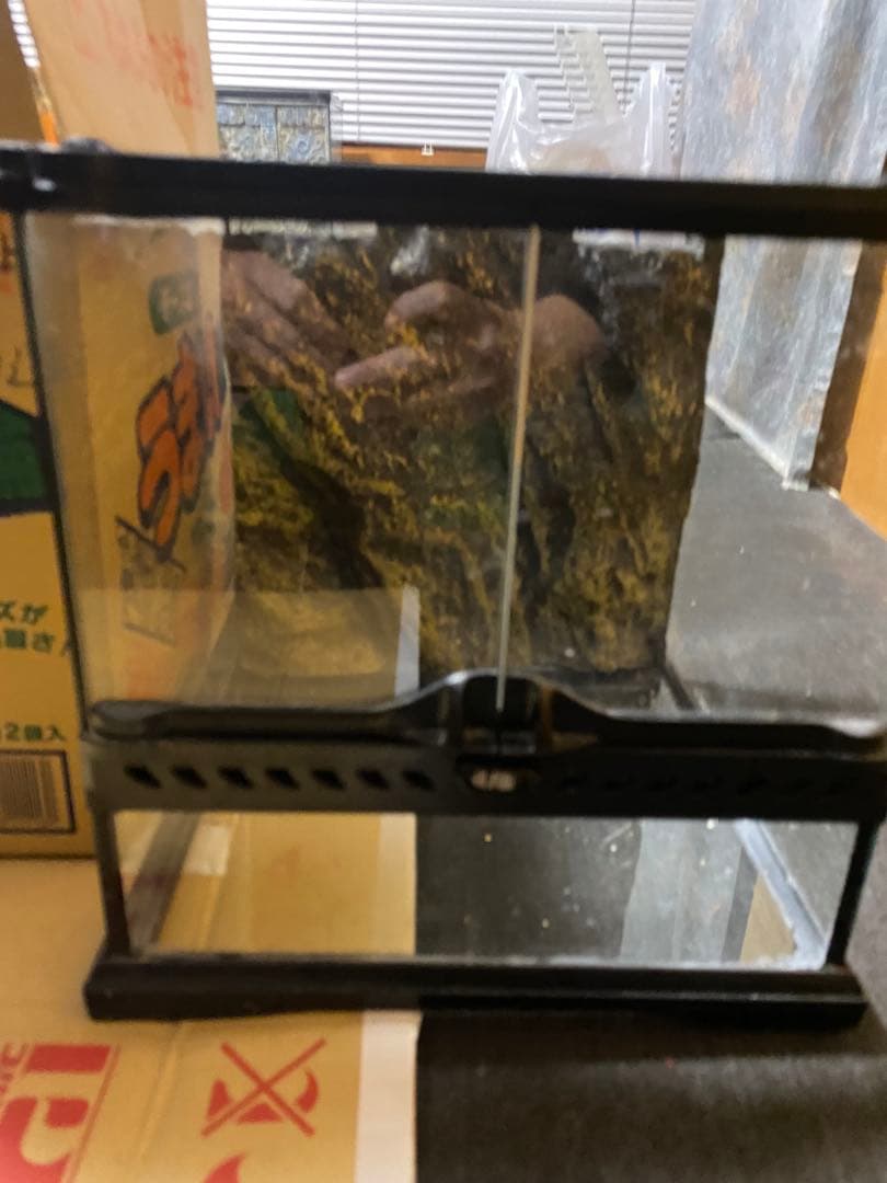 「引取り限定」爬虫類ケージまとめ売り　グラステラリウム アステカキット