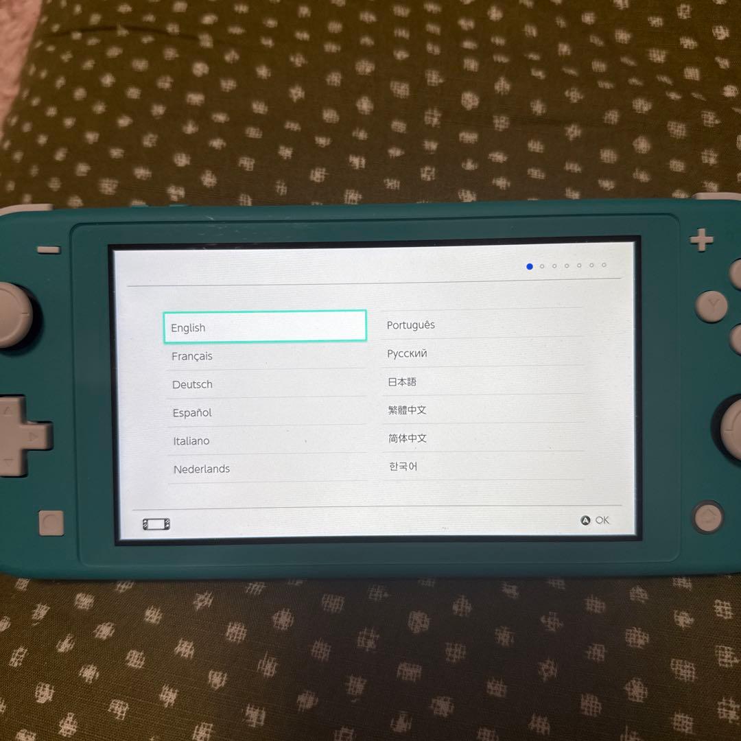 Nintendo Switch Lite ターコイズ 充電器ソフト付き