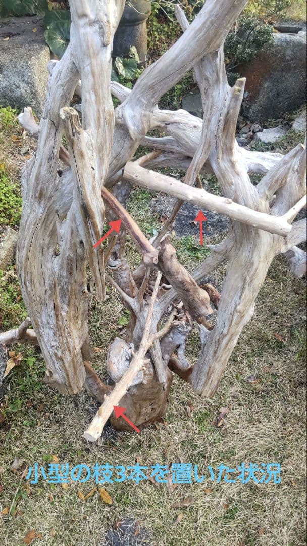 バードアスレチック　流木　インコ　鳥用止まり木