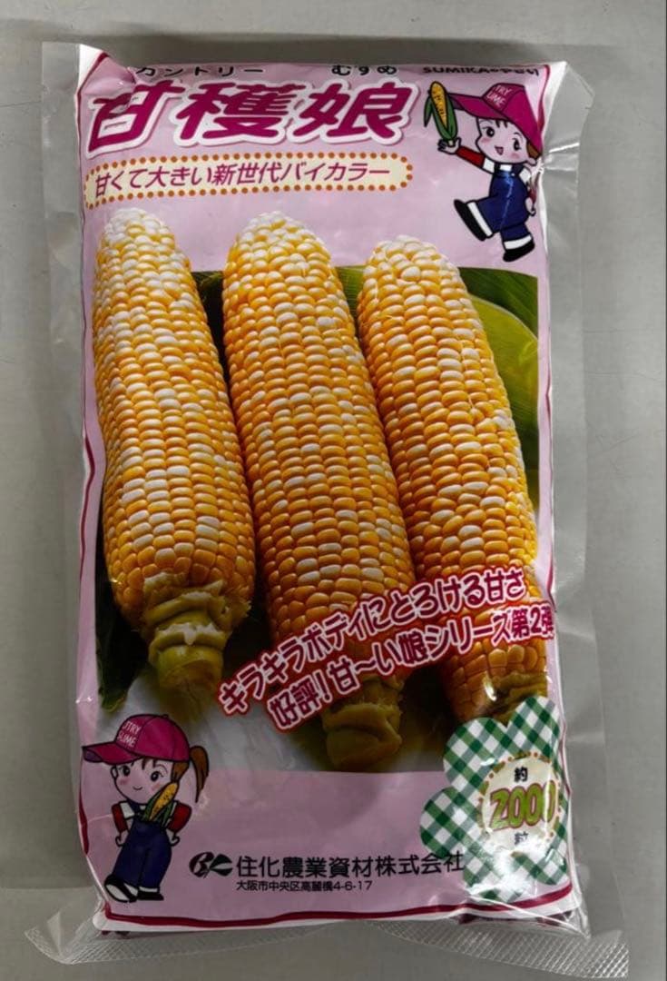 スイートコーン種子 甘穫娘 2000Ｒ×4袋