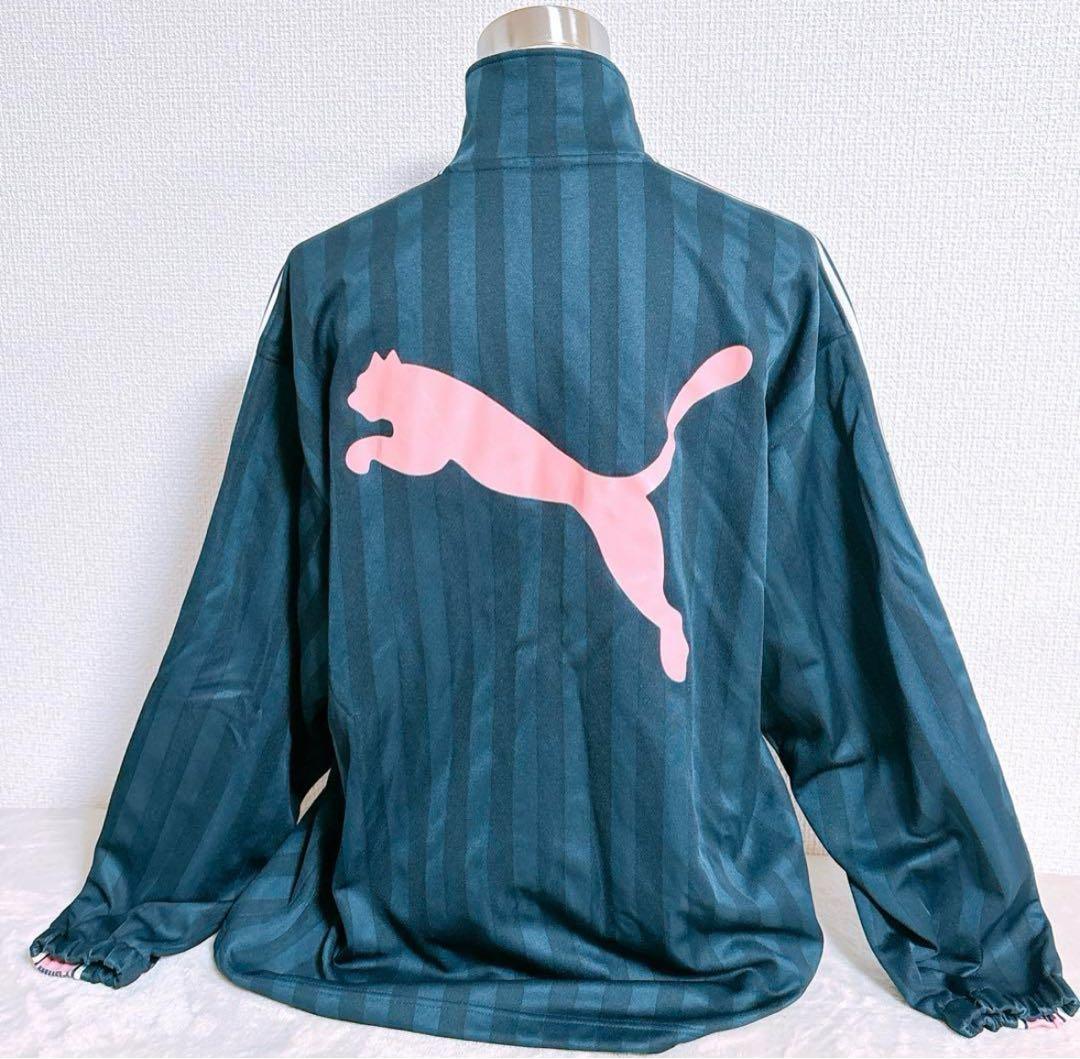 【PUMA】ジャージ　上下　スポーツウェア　ネイビー×ピンク　レディース L相当