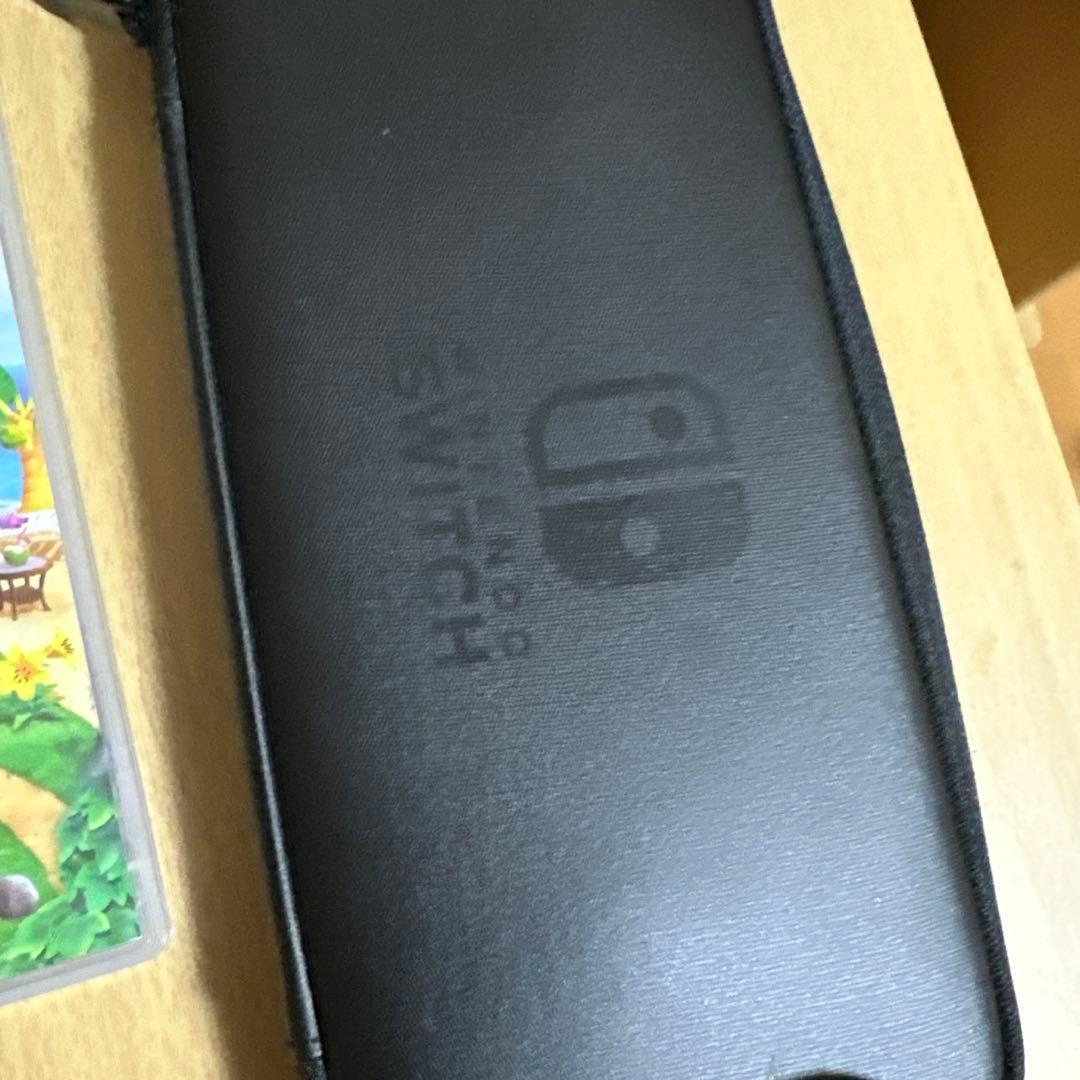 ト*ん様 Nintendo Switch Lite