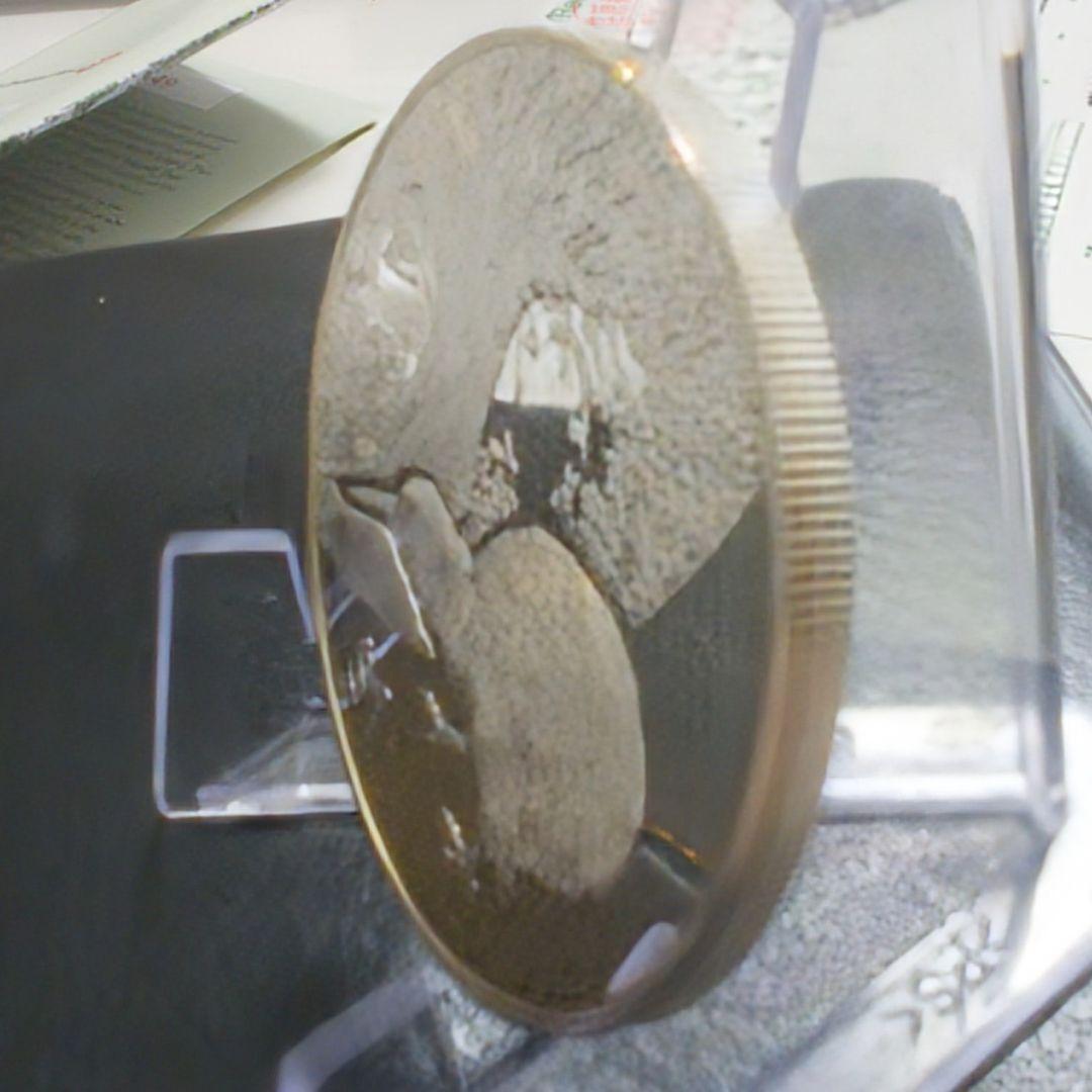 2013年 ニュージーランド銀貨 1ドル キーウィ銀貨 SV999 純銀1オンス