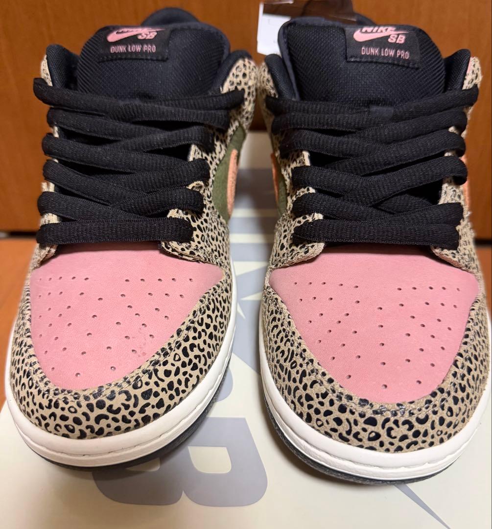 Arts Rec × Nike SB Dunk Low Pro 27.5