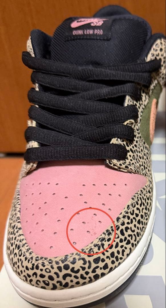 Arts Rec × Nike SB Dunk Low Pro 27.5