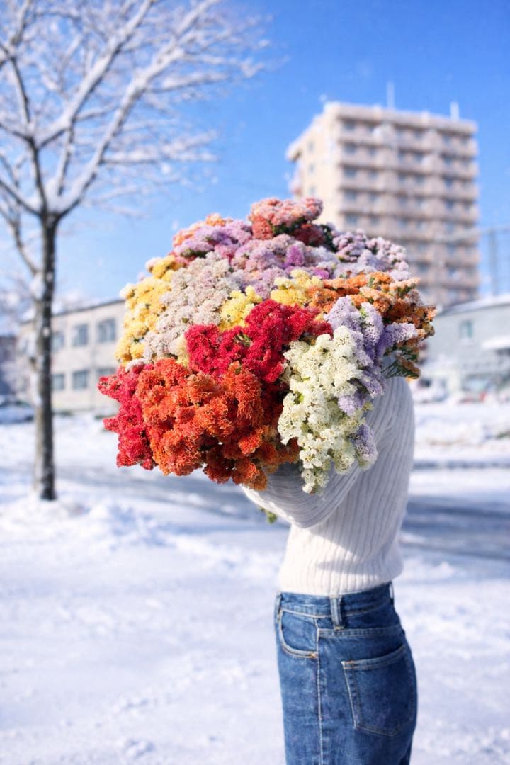 スターチス　ニュアンス系お任せmix 80→100本