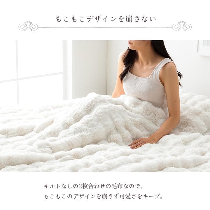 ラピアス プレミアム ハーフ毛布 100x140cm ふわふわ 洗える